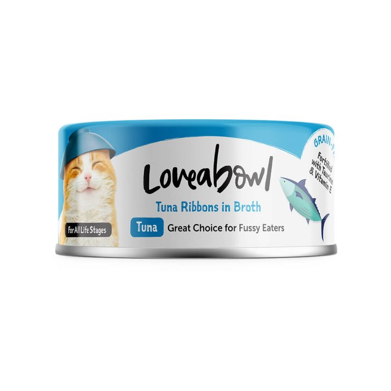 Tips on finding the best Cat Food in the Pet cat